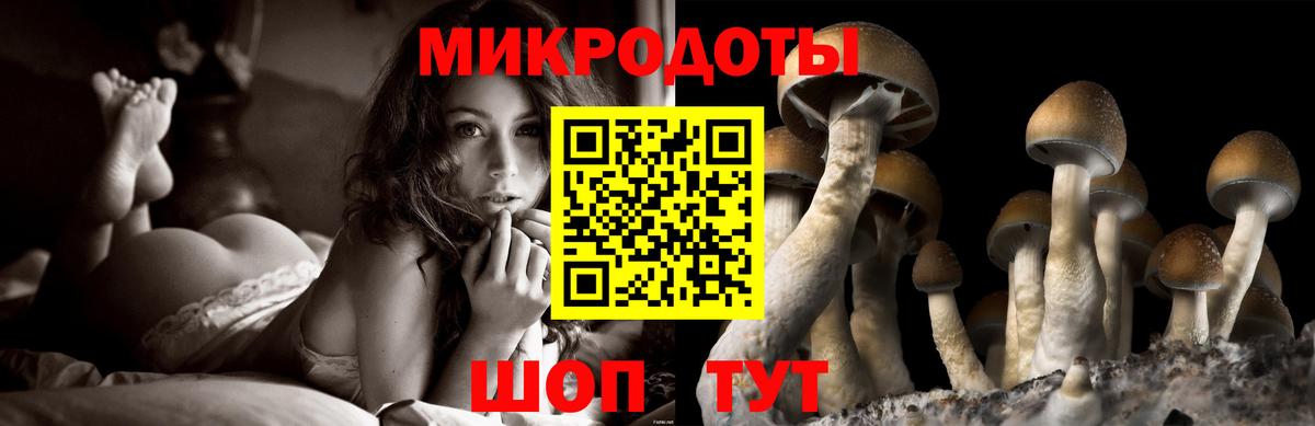 Семилуки  наркотики  Галлюциногенные грибы мухоморы  Вход с VPN  Галлюциногенные грибы GOLDEN TEACHER 